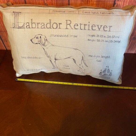 Decorative Splashworks Labrador Retriever Dog Breed Pillow - Picture 3 of 10